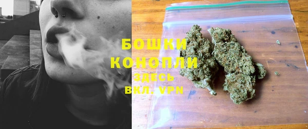 прущие грибы Балахна