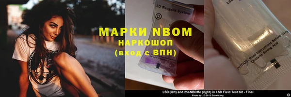 прущие грибы Балахна