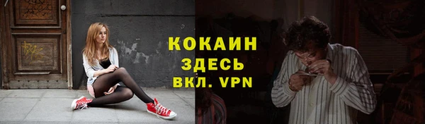 прущие грибы Балахна