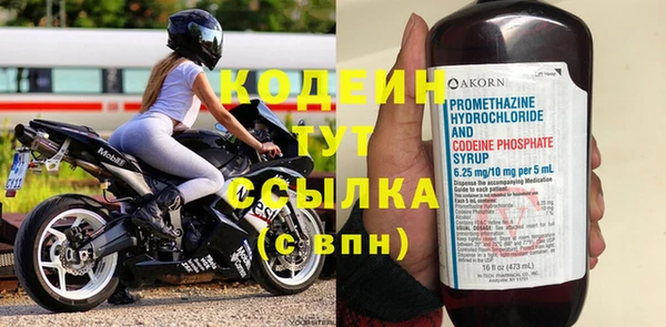 прущие грибы Балахна