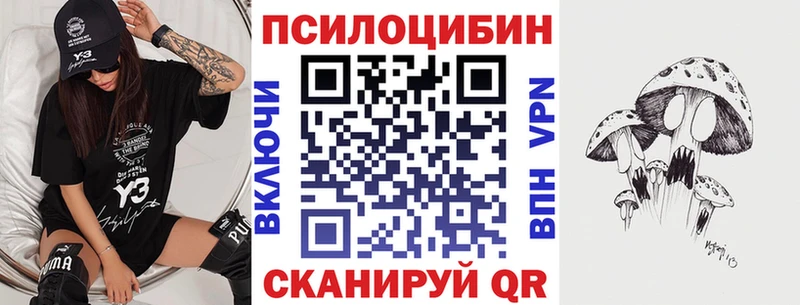 продажа наркотиков  Петров Вал  Галлюциногенные грибы прущие грибы 